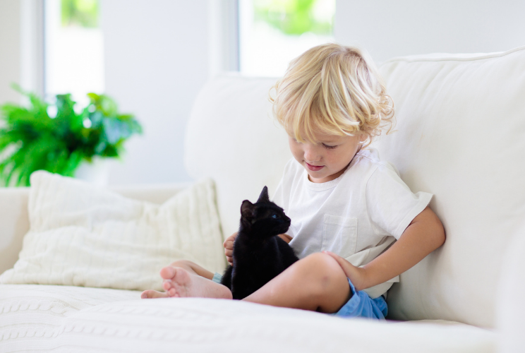 Házimalac? Minek, már van nekünk egy itthon