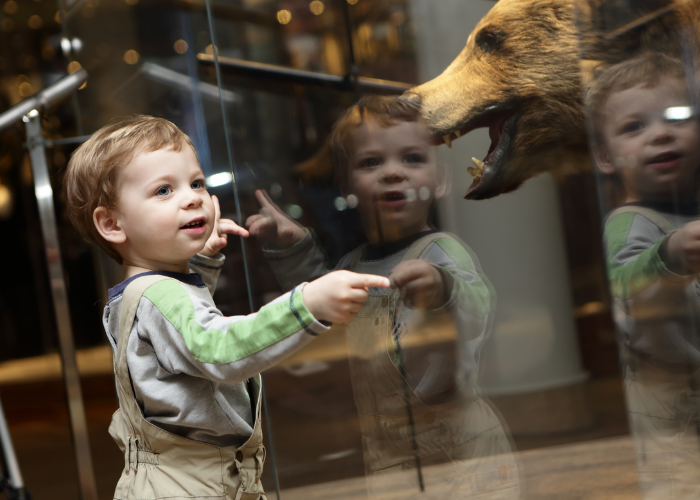 Gyerekek a múzeumban? Jaj ne már….!