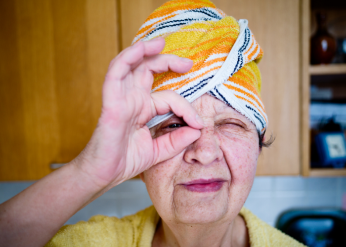 Anyósom a házisárkány