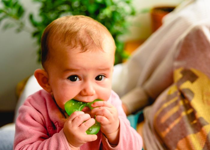 Segítség! Jön a foga!